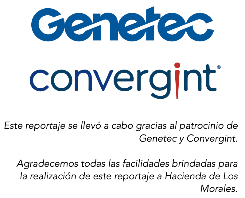 Tecnología, principal aliado del retail este 2024